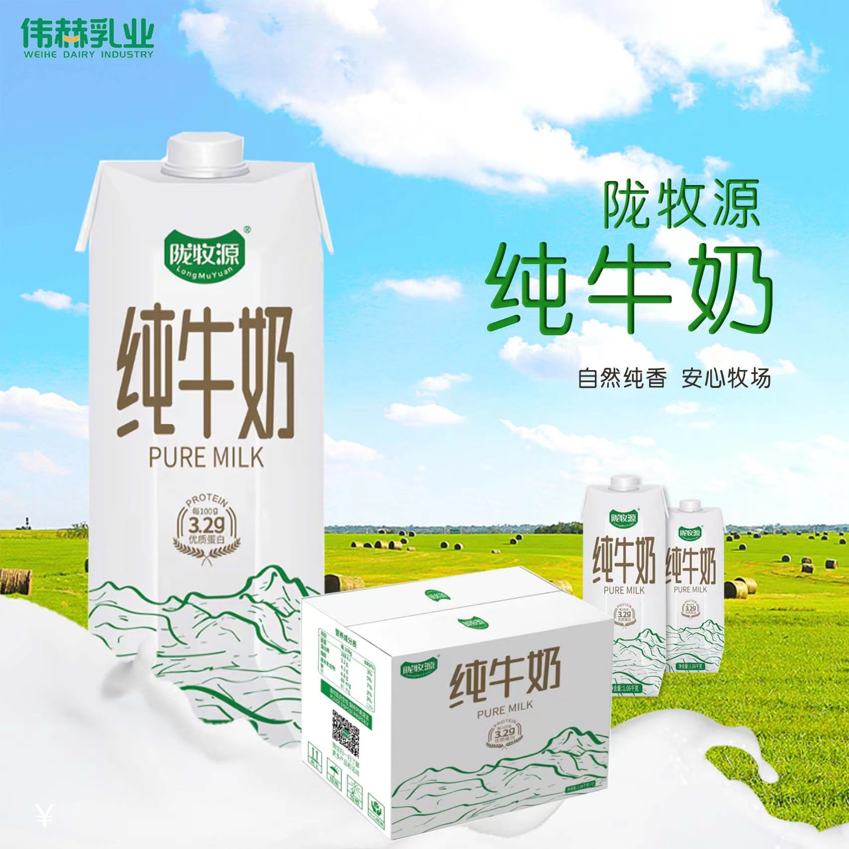 蛋白 纯牛奶