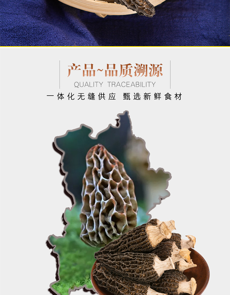 未标题-1_02.jpg